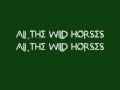Ray Lamontagne All The Wild Horses Lyrics