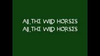 Ray Lamontagne All The Wild Horses Lyrics