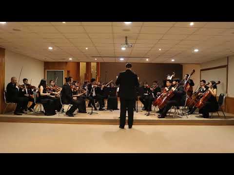 GYULA BELICZAY SERENATA PARA CUERDAS PARTE 1