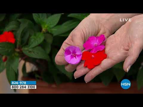 HSN | Saturday Morning with Callie & Alyce 03.18.2023 - 10 AM