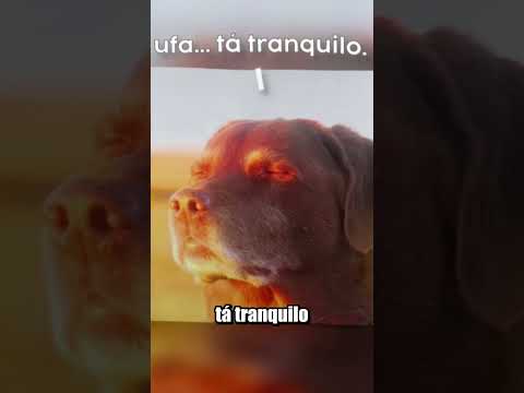 COMO VER MENSAGEM APAGADA NO ZAP? (O JEITO SECRETO)