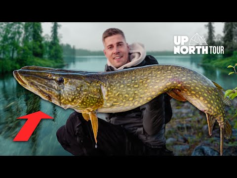 Vom Ufer auf MONSTER-Hechte! UpNorth 2.0 (7)