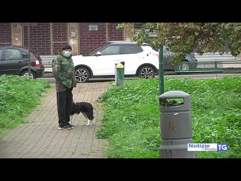 2020-11-04 PRATO - 16 ALBERI PER RIQUALIFICARE I GIARDINI DI VIA BICCHIERAI