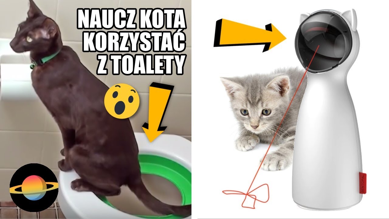 10 ciekawych gadżetów dla właścicieli kotów