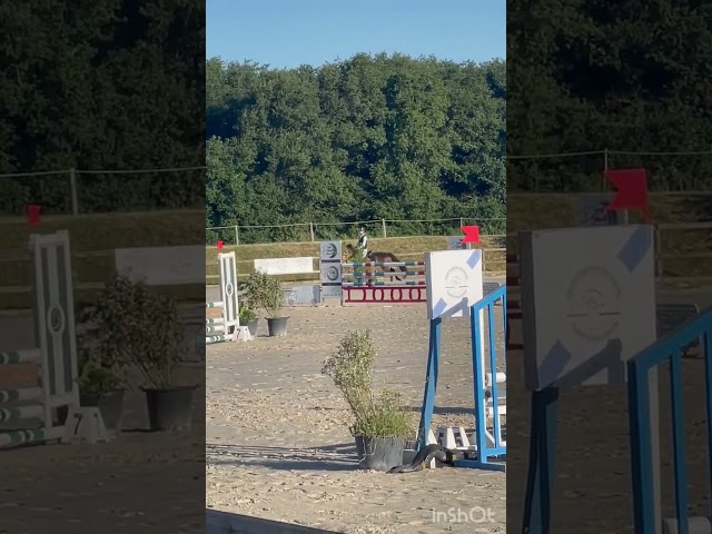 Ponette de sport de 4 ans 