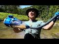 Find Gold Everytime in Rivers and Creeks in New York State