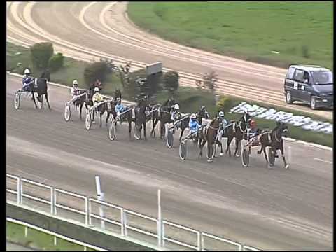 Trotto 26/03/2015 - 2° corsa