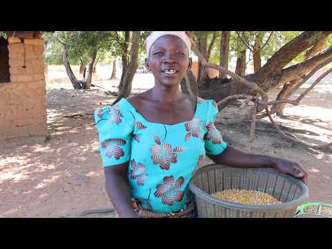 Support 30 Women in Ullo to Increase Crop Yield