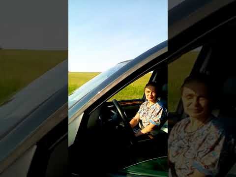 Băița de sub codru. Pe Diuță.