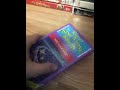 Disney Sing Along Songs You Can Fly 1988 Vhs Review