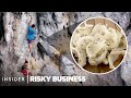 Why People Risk Their Lives To Harvest A 2700 Bird Nest Made Of Saliva Risky Business