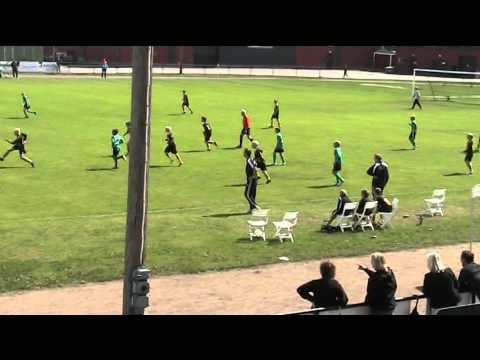 panaxia SAIF Huddinge