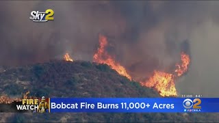 Santa Ana Winds Could Push Bobcat Fire Closer To Homes In The San Gabriel Foothill Neighborhoods