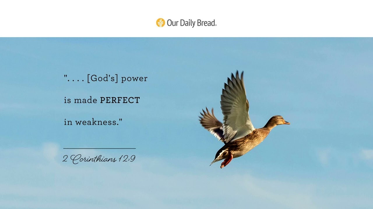 Gathering Strength in God | Audio Reading | Our Daily Bread Devotional | November 19, 2023
