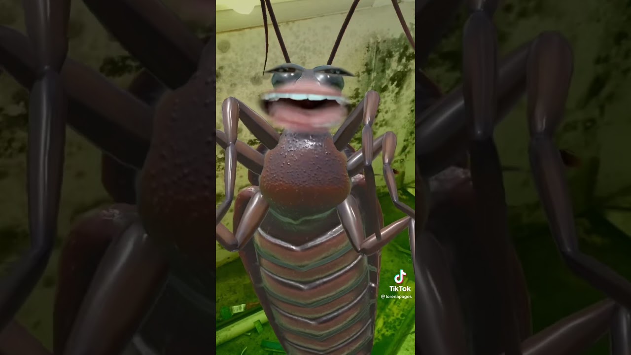 funny video to watch (Video by @Lorena Pages on TikTok)