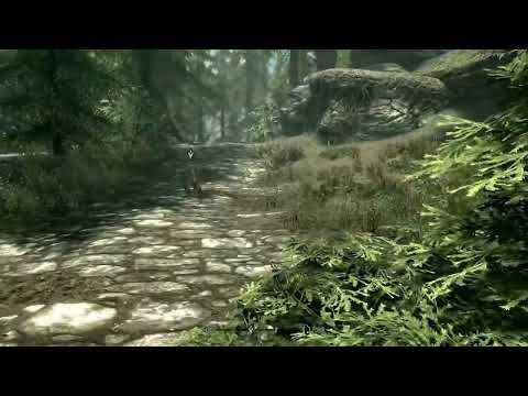 "Life Was Too Harsh......I Guess?"