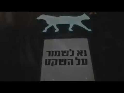 Little Louie Vega @ The Cat & Dog - Aftermovie