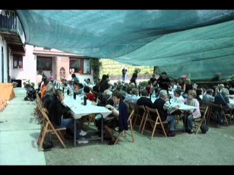 'D Raine' Montelupo Albese