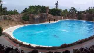 Best of Loro Parque: Dolphins Show - Delfine im Loro Park Teneriffa