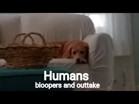 Humans: an understanding of the bloopers