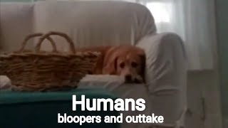 Humans: an understanding of the bloopers