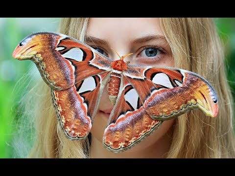 Quale crema sono candeggiati dalla persona meglio Come fare il brodo di prezzemolo per candeggiare della persona