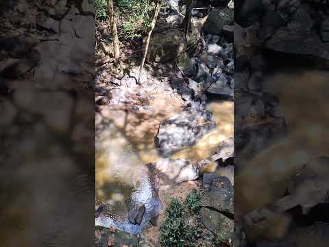 Cachoeira DN - Teixeirópolis/RO