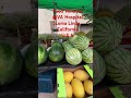Food Vendors VA Loma Linda Hospital CALIFORNIA U S A