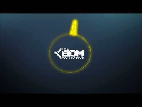 Bass House | Tiigers - About