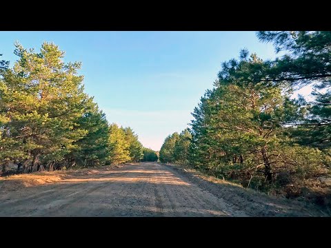 [4K] Siberian Drive Ep. 21 — From Deep Forest Back to Town | Birds Singing, No Music, No Talking