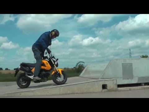 Honda MSX 125 Punched by Vienna Streetrockaz