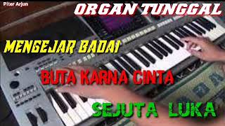 Download lagu ORGAN TUNGGAL MENGEJAR BADAI BUTA KARNA CINTA SEJUTA LUKA mp3