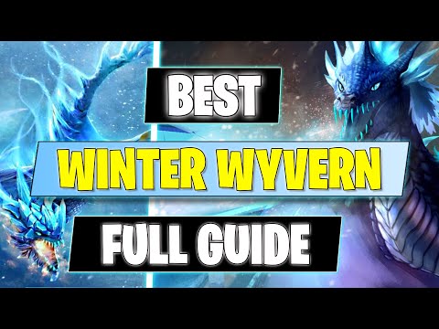 Most Players Play Winter Wyvern Wrong (Full Guide)