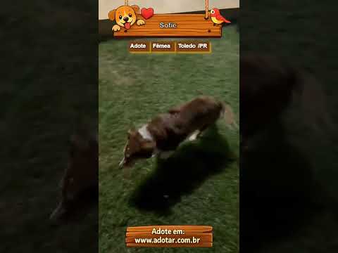 Vídeo de Sofie