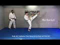 Mae Ren Geri Double Front Kick Youtube