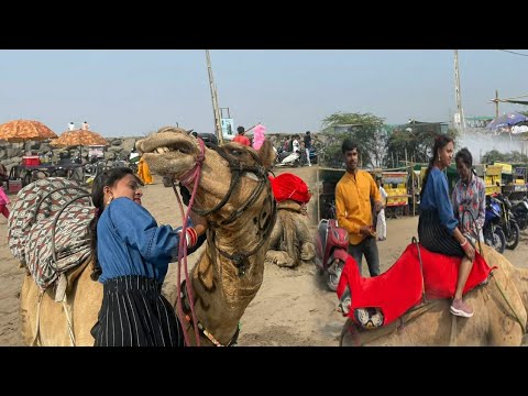 Camel Se Dosti Pada Bhari 😜|| Dumas Beach Surat