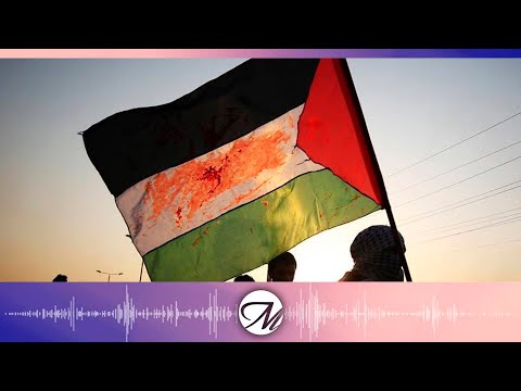 Podcast 85: Palestina