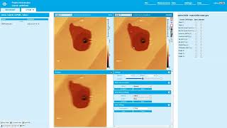 Automated correlation of AFM and SEM data via CPEM+