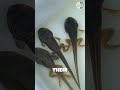 How Tadpoles Transform Into Frogs The Incredible Process