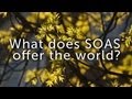 SOAS University Of London Graduation Video 2013