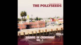 Terrace Martin Presents The Pollyseeds - Sounds Of Crenshaw Vol. 1 [Full Album]