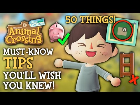 50 Things I WISH I Knew Sooner - ACNH Tips & Tricks