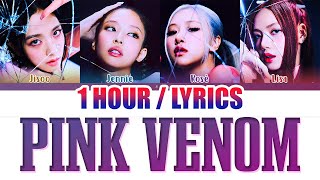 BLACKPINK (블랙핑크) - Pink Venom (1 HOUR LOOP) Lyrics | 1시간