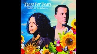 (-!-) Tears For fears / Advice For The Young At Heart