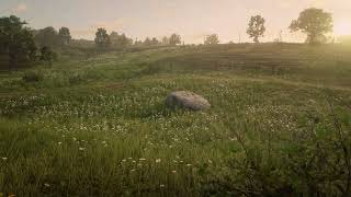 Rdr2 ambient music 13 Scarlett Meadows