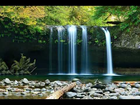 Precioso es el raudal- himno 219