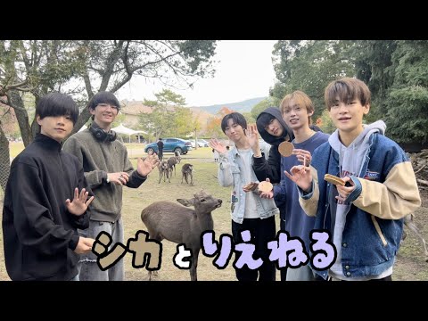 シカとりえねる