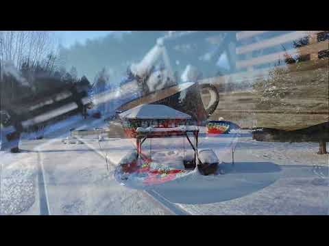 Mazury | Siedlisko z linią brzegową jeziora Szeląg Wielki | 3,4 ha prywatności | Warmia Brokers