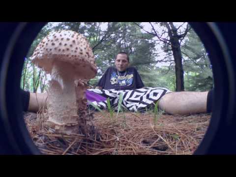 AKXL - Poussière ( STARDUST )