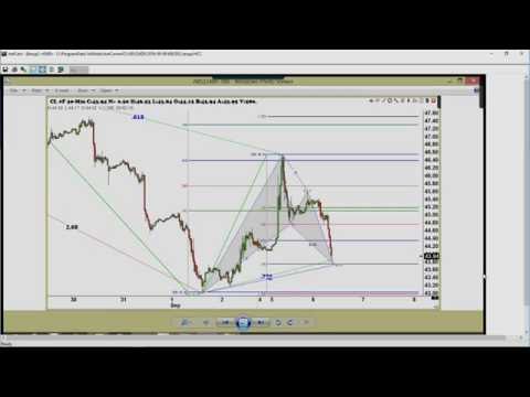 September 6th Trade What You See with Larry Pesavento on TFNN - 2016